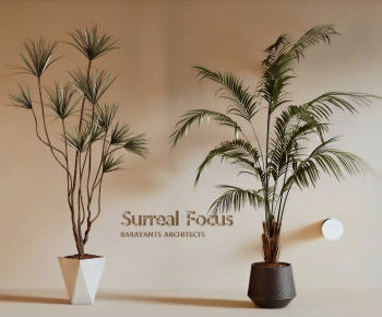 Modern Ground Green Plant Potted Plants-ID:670794966