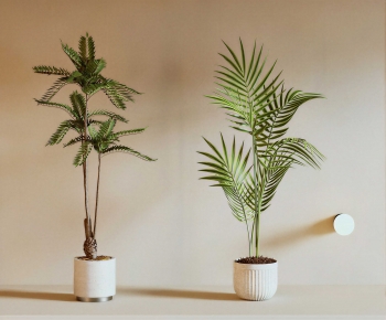 Modern Ground Green Plant Potted Plants-ID:277033094