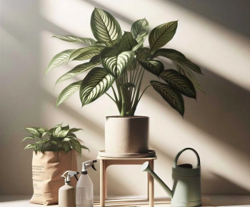 Modern Ground Green Plant Potted Plants-ID:811911119