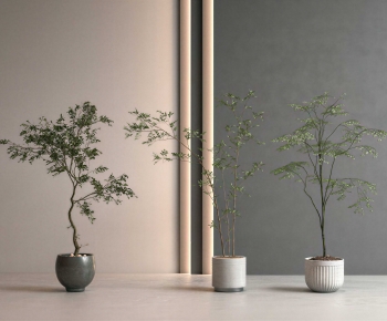 Modern Ground Green Plant Potted Plants-ID:169647931