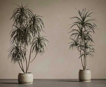 Modern Ground Green Plant Potted Plants-ID:480399147