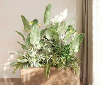 Modern Flower Bed, Flower Bowl, Flower Box-ID:292319066