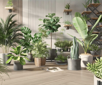 Modern Ground Green Plant Potted Plants-ID:775475983