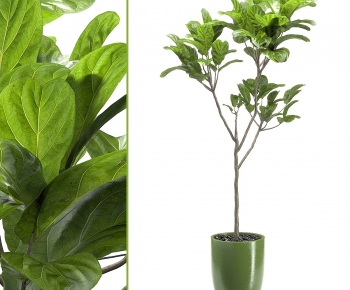 Modern Ground Green Plant Potted Plants-ID:891153106