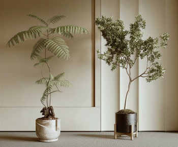 Modern Ground Green Plant Potted Plants-ID:278875114