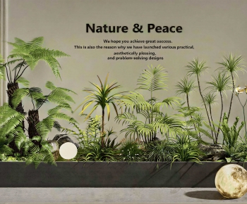 Modern Plant Landscaping-ID:240525012