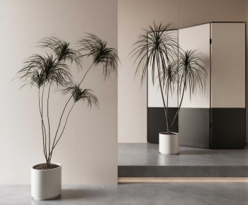 Modern Ground Green Plant Potted Plants-ID:334616908