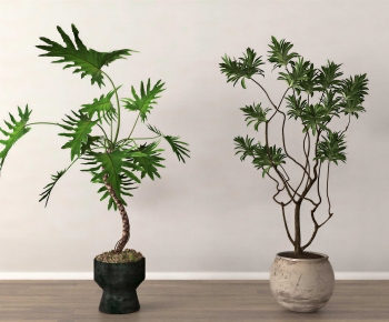 Modern Ground Green Plant Potted Plants-ID:164599459