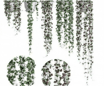 Modern Vine-ID:930147891