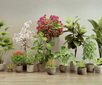 Modern Ground Green Plant Potted Plants-ID:504913093