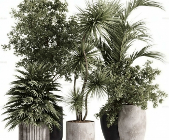 Modern Ground Green Plant Potted Plants-ID:533166894