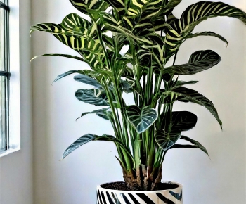 Modern Ground Green Plant Potted Plants-ID:663677931