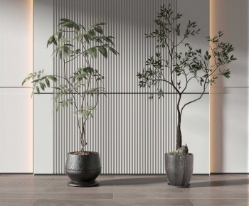Modern Ground Green Plant Potted Plants-ID:317766909