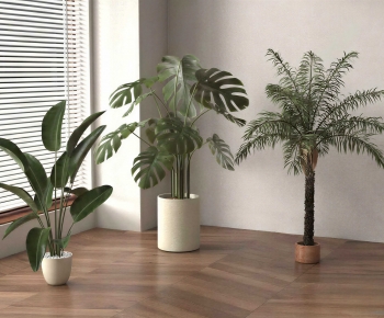 Modern Ground Green Plant Potted Plants-ID:308580441