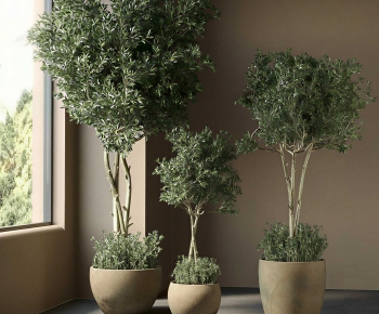 Modern Ground Green Plant Potted Plants-ID:201648004