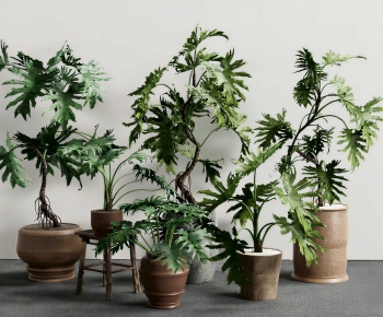 Modern Ground Green Plant Potted Plants-ID:317703961