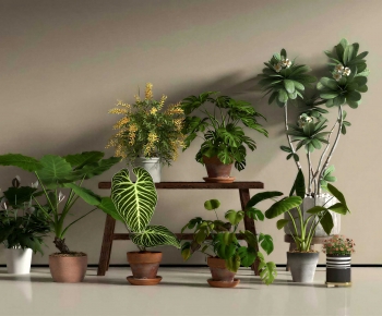 Modern Ground Green Plant Potted Plants-ID:569582944