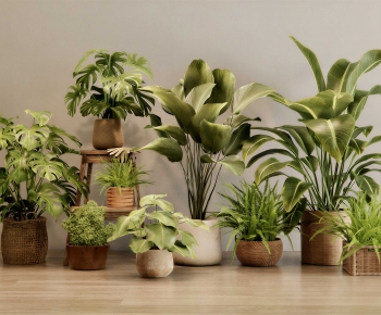 Modern Ground Green Plant Potted Plants-ID:515225899