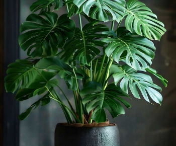 Modern Ground Green Plant Potted Plants-ID:171170003