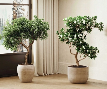 Wabi-sabi Style Ground Green Plant Potted Plants-ID:712279084