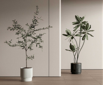 Modern Ground Green Plant Potted Plants-ID:179759986