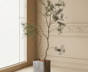 Modern Ground Green Plant Potted Plants-ID:388684033