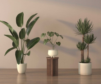 Modern Ground Green Plant Potted Plants-ID:725464118