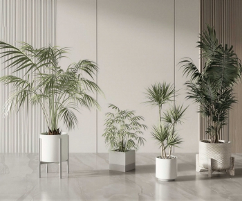 Modern Potted Green Plant-ID:980983022