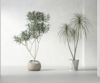 Modern Ground Green Plant Potted Plants-ID:810662035