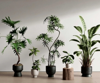 Modern Ground Green Plant Potted Plants-ID:545567047