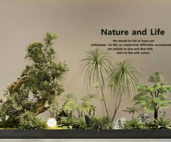 Modern Plant Landscaping-ID:138653046