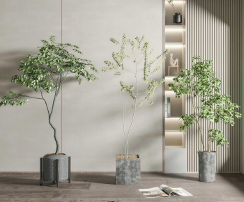 Modern Ground Green Plant Potted Plants-ID:736043937