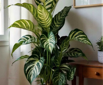 Modern Ground Green Plant Potted Plants-ID:840420792