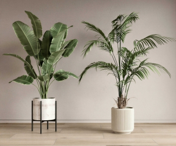 Modern Ground Green Plant Potted Plants-ID:275819067