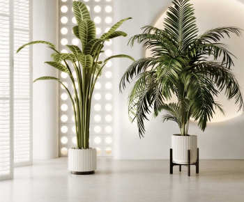 Modern Ground Green Plant Potted Plants-ID:148113975