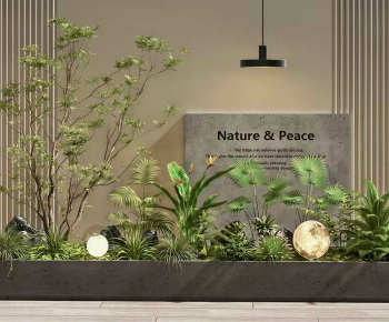 Modern Plant Landscaping-ID:529515985