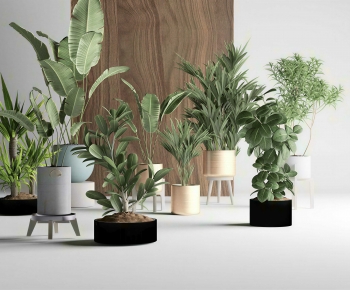 Modern Ground Green Plant Potted Plants-ID:956705097