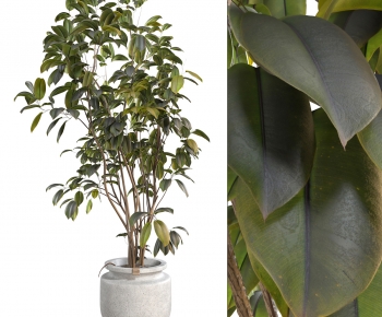 Modern Ground Green Plant Potted Plants-ID:980433945
