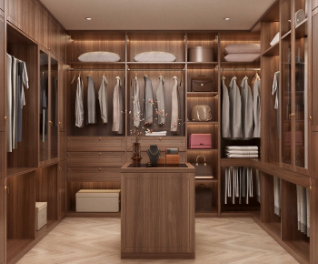 Modern Clothes Storage Area-ID:375391967