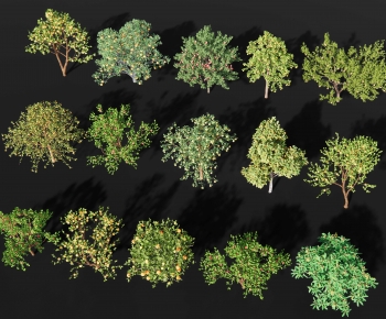 Modern Tree-ID:147037982