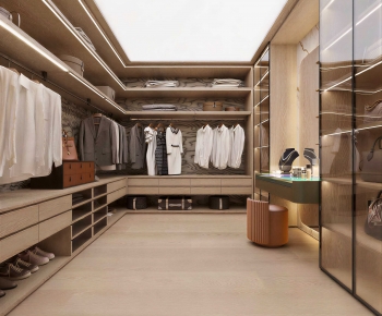 Modern Clothes Storage Area-ID:754148967