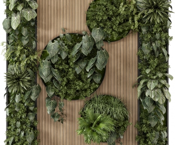 Modern Plant Wall-ID:652240996