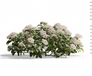 Modern Flowers And Grass-ID:458465109