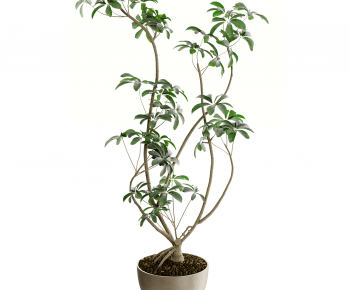 Modern Ground Green Plant Potted Plants-ID:497679953