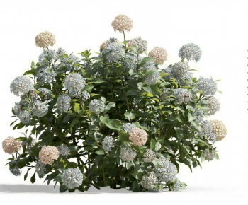 Modern Flowers And Grass-ID:953927042