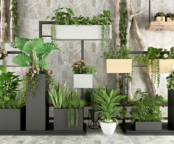 Modern Potted Green Plant-ID:380978117