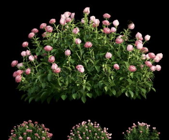 Modern Flowers And Grass-ID:387232074