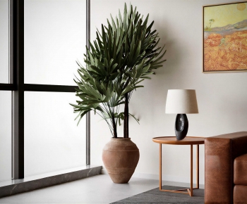 Wabi-sabi Style Ground Green Plant Potted Plants-ID:350029511