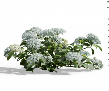 Modern Flowers And Grass-ID:541536093