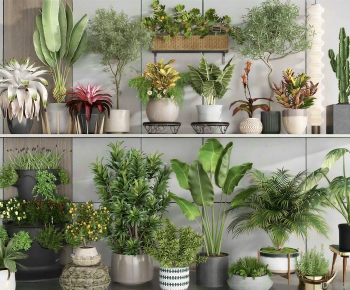 Modern Ground Green Plant Potted Plants-ID:484801056